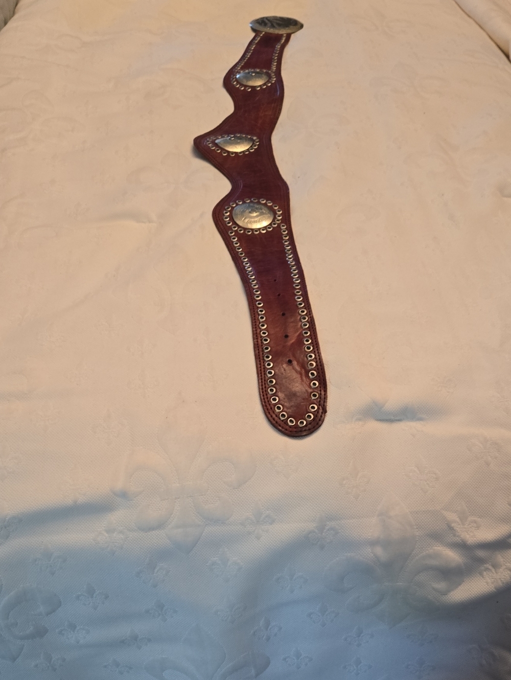 Leather Silver Tone Concho Belt in Brown